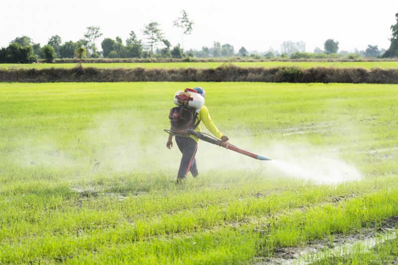 Cockroach Fumigation