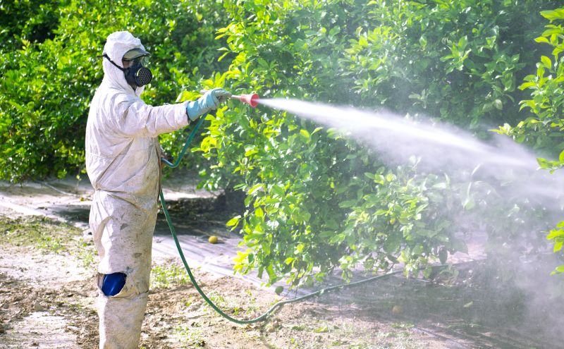 Pest Fumigation Service in Gwinnett County, GA